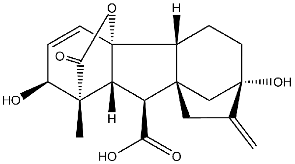 赤霉素GIBBERELLIC ACID，居然有這么神奇？